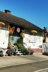 IMG_20240624_091808.jpg