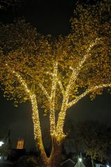 IMG_20231118_195315.jpg