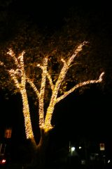 IMG_20231119_172900.jpg